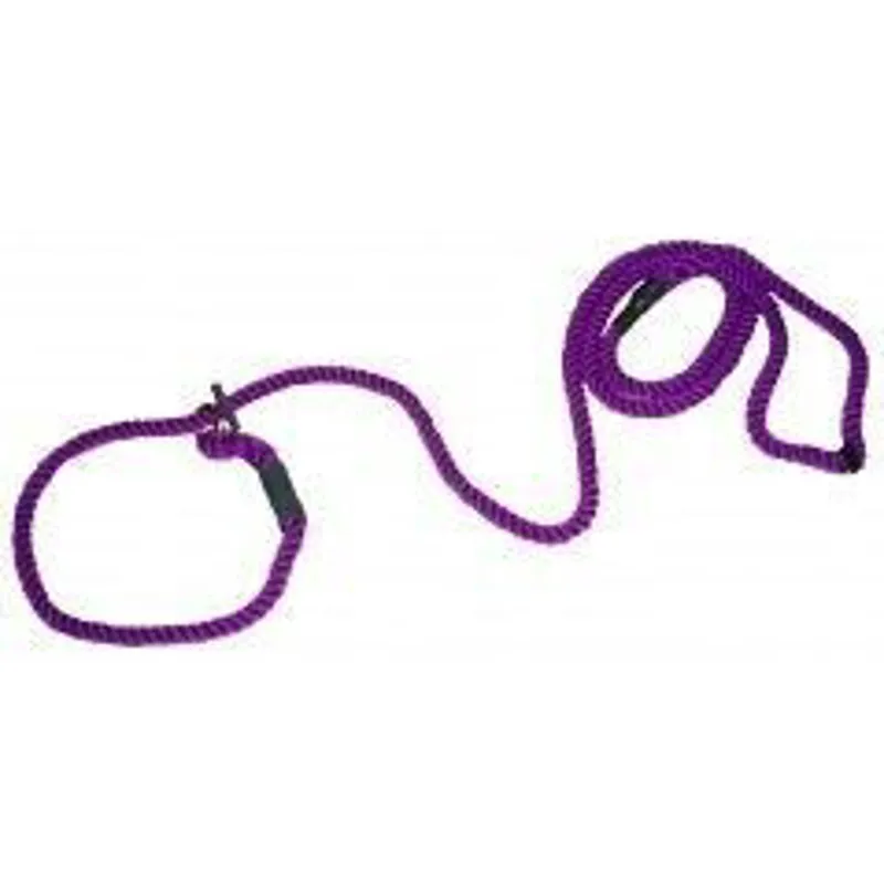 Animate Gun Dog Slip Lead Purple
