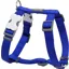 Red Dingo Plain Dog Harness Blue