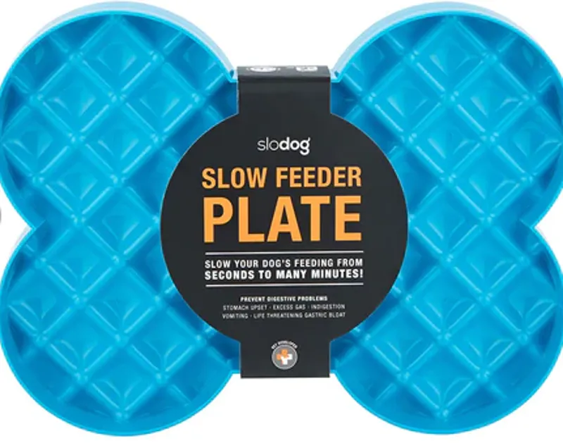 Lickimate Slodog Plate Turquoise