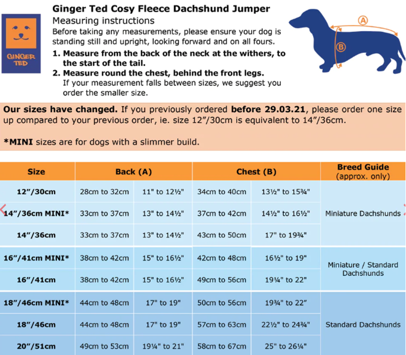 Ginger Ted - Cosy Fleece - Dachshund Red-1