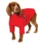 Ginger Ted - Fleece Jumper Red
