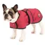 Ginger Ted - Pug Frenchie Dog Coat Cherry