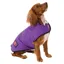Ginger Ted Fleece Dog Coat Purple