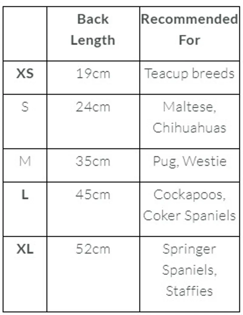 James and Steel - Star Jumper Grey-1