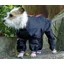 Waterproof Nylon Long Leg Trouser Suit Black 