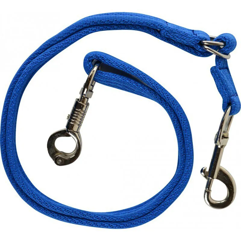 Norton Neon Transport Lead Rope Blue