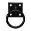 Perrys Tie Ring on Plate Black 