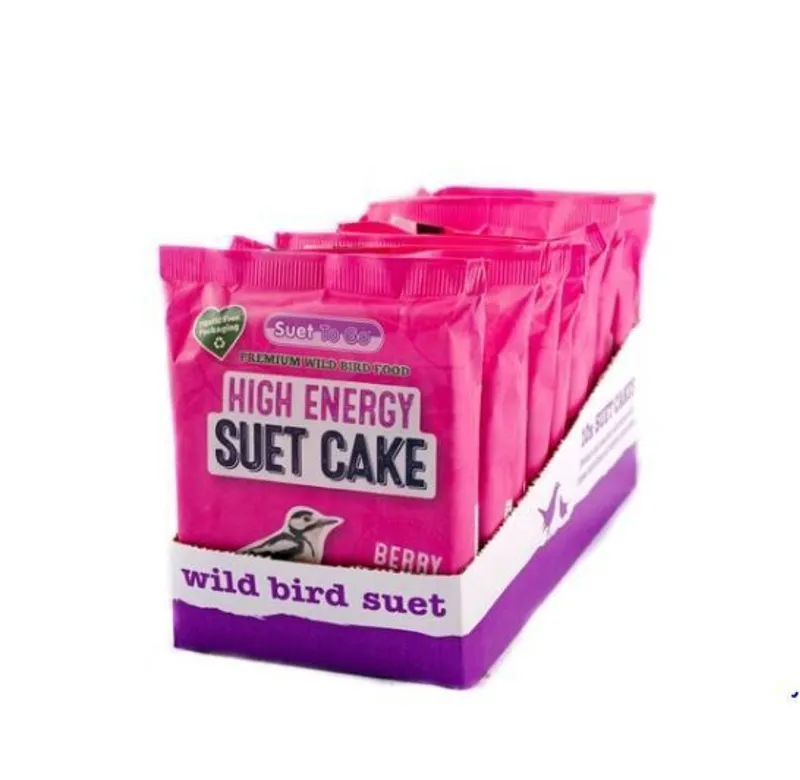 Suet to Go Block Berry 280g