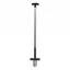 Ragwort Multiweed Fork Black
