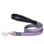 Red Dingo Star Dog Lead Grey and Hot Pink Stars