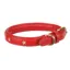 Digby and Fox Star Dog Collar SCARLET
