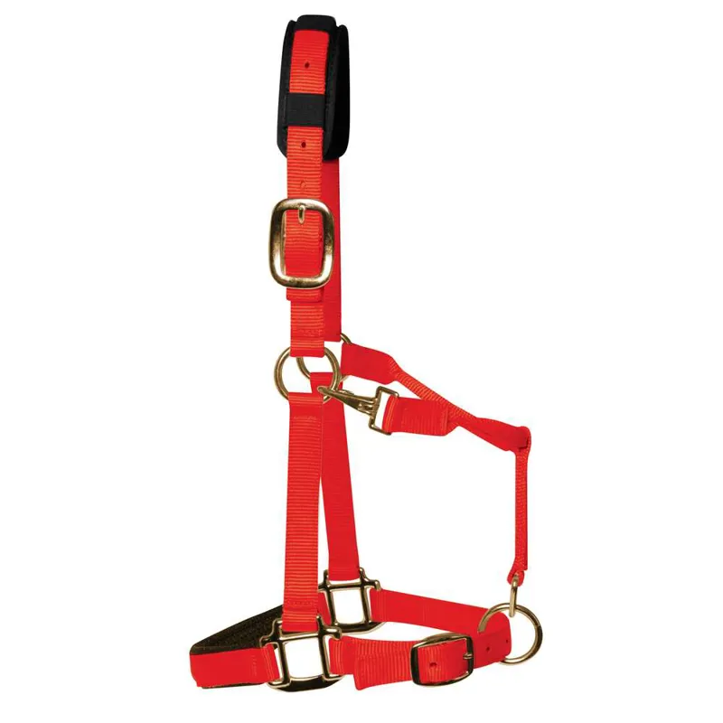 KM Elite Padded Head Collar Red