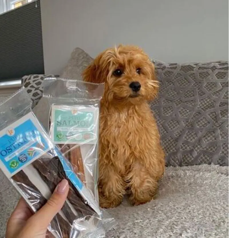 JR Pet Products Pure Sticks 50g Ostrich-1