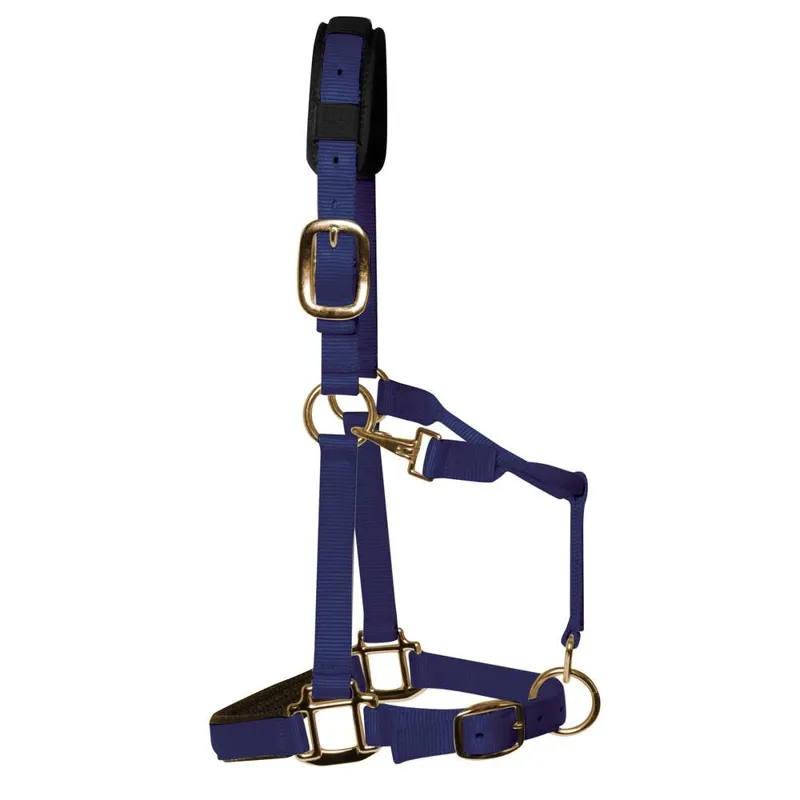 KM Elite Padded Head Collar Navy
