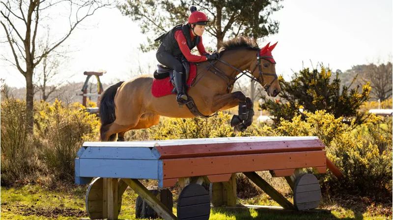 LeMieux Suede Close Contact Pad Chilli-3