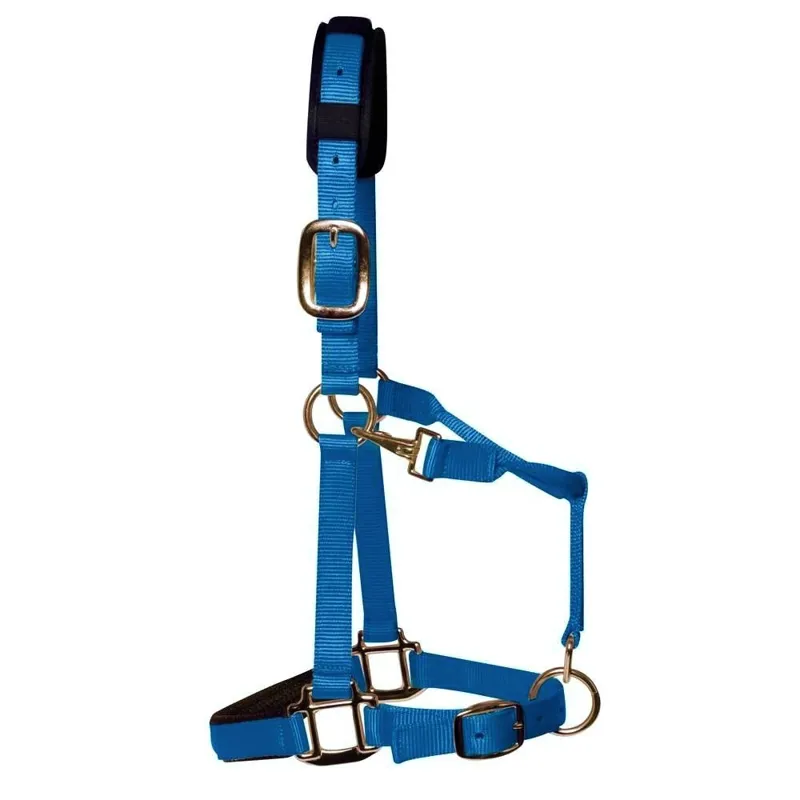 KM Elite Padded Head Collar Teal Blue
