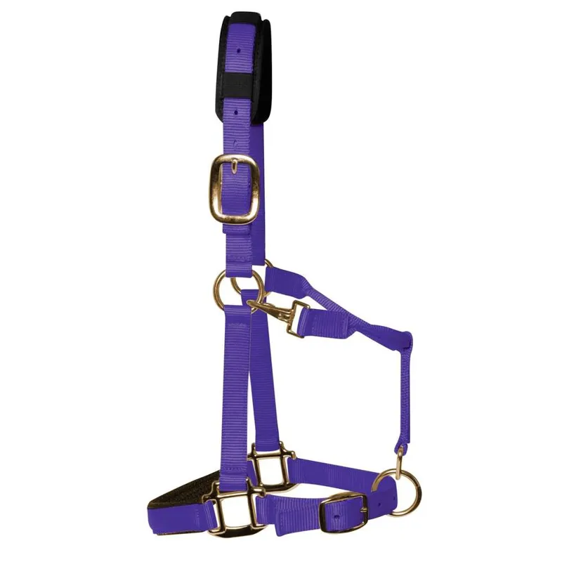 KM Elite Padded Head Collar Purple