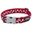 Red Dingo Spot Collar Red and White  Spots