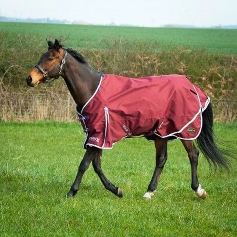 Gallop TROJAN Xtra Lightweight Turnout-1