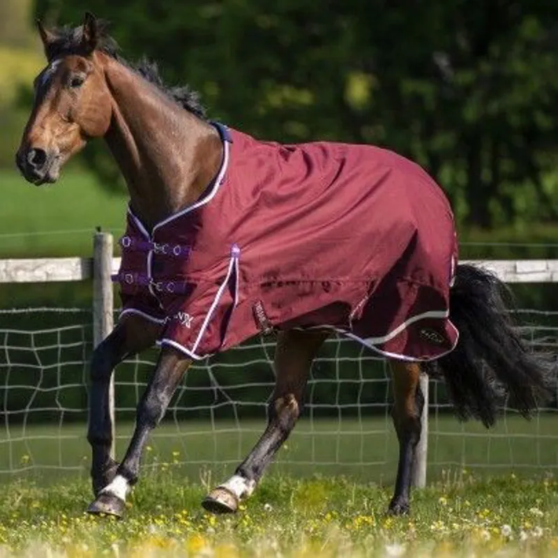 Gallop TROJAN Xtra Lightweight Turnout