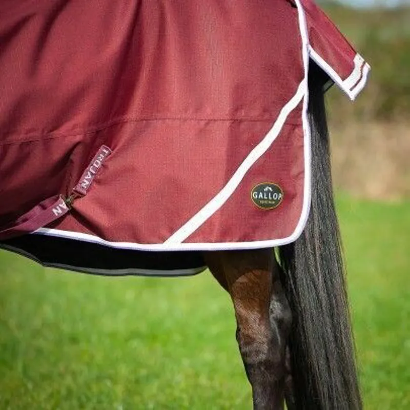 Gallop TROJAN Xtra Lightweight Turnout-3