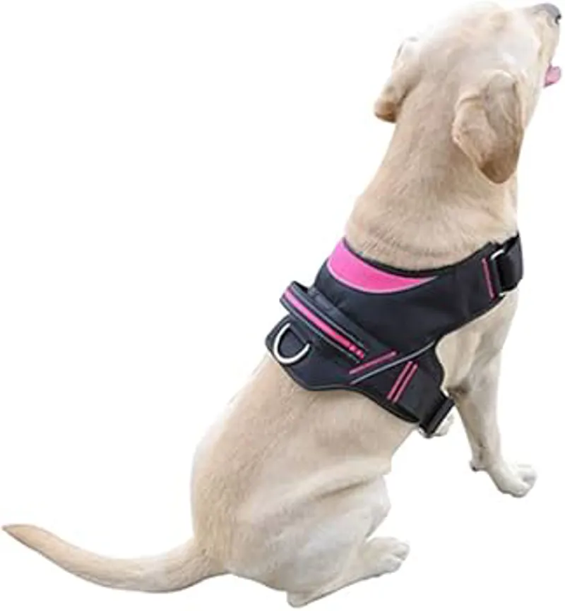 Lazy Bones Night Safe Dog Harness Black/Pink-1