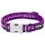 Red Dingo Patterned Collar Daisy