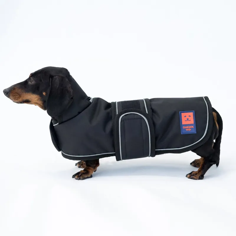 Ginger Ted Dachshund Dog Coat