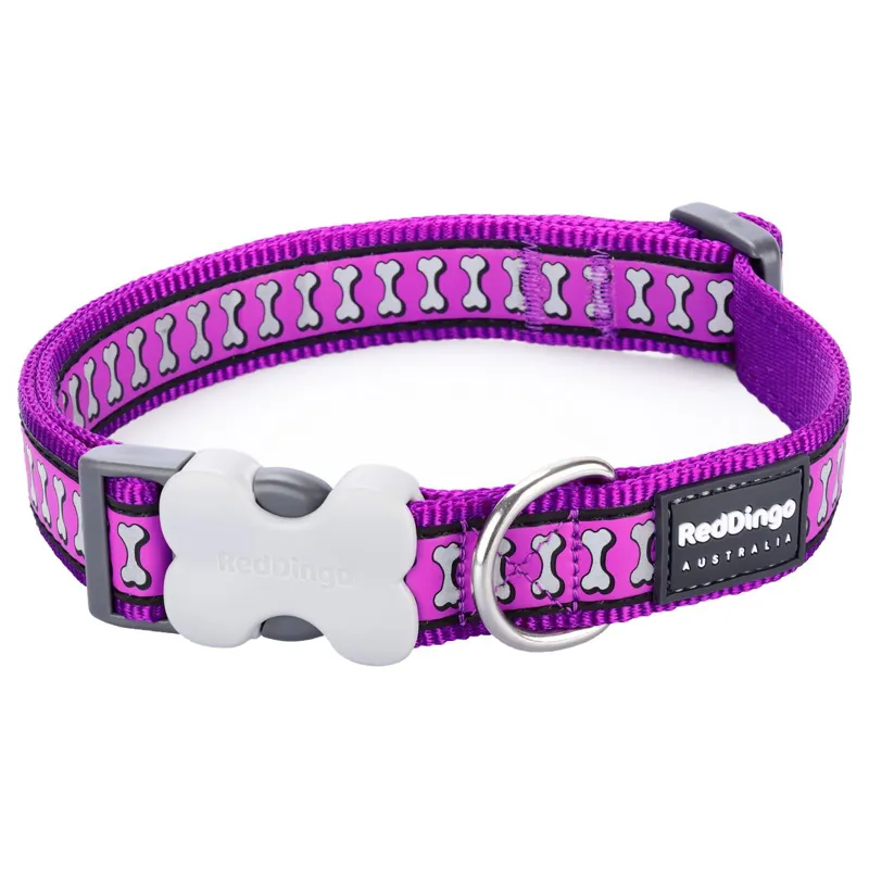 Red Dingo Reflective Collar Purple
