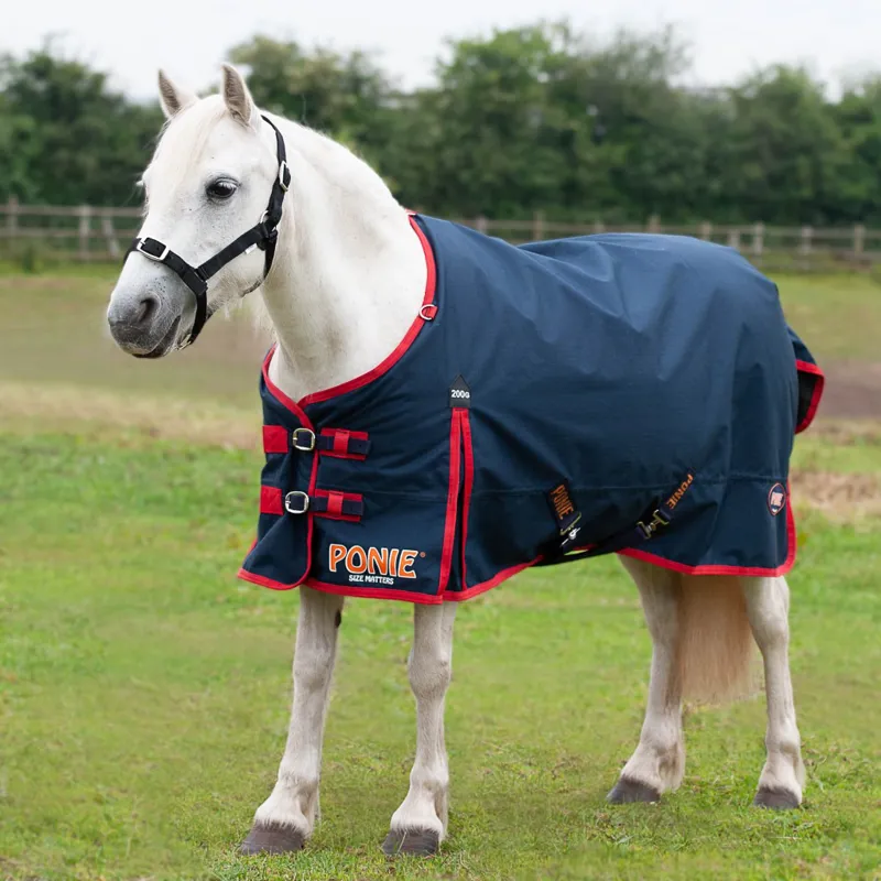 Ponie 200 Turnout Rug 200g Navy Red