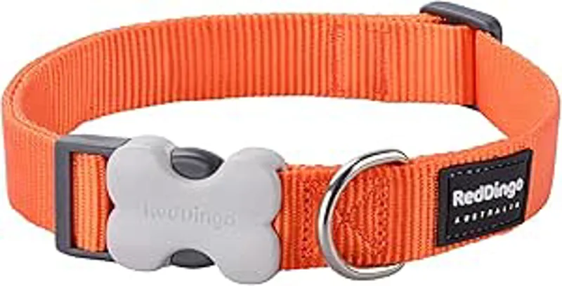 Red Dingo Plain Collar Orange