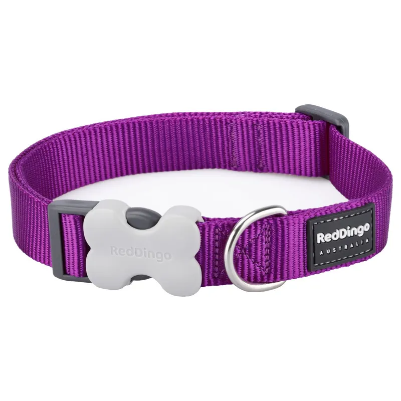 Red Dingo Plain Collar Purple