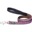 Red Dingo Spots Dog Lead Brown and Purple Spots