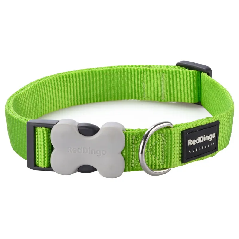 Red Dingo Plain Collar Lime Green