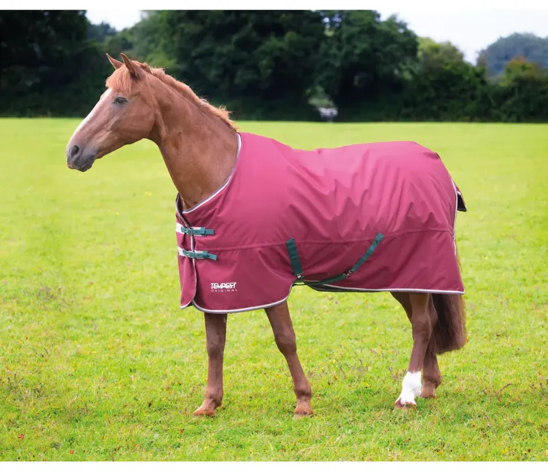 Tempest Original 200 Turnout Rug MAROON