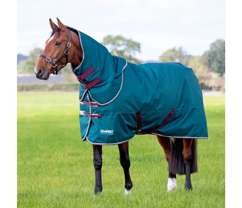 Tempest Original 200 Turnout Rug and Neck Set GREEN