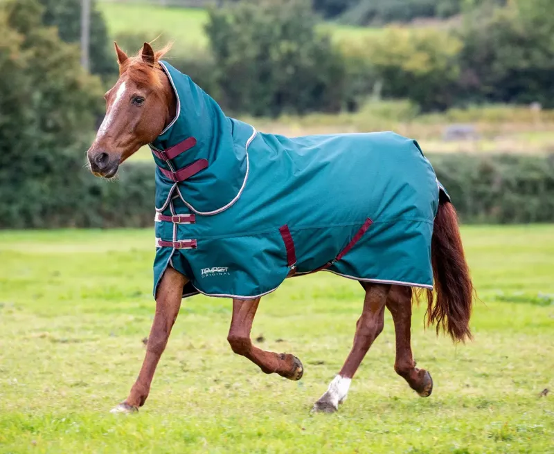 Tempest Original 200 Turnout Rug and Neck Set GREEN-1