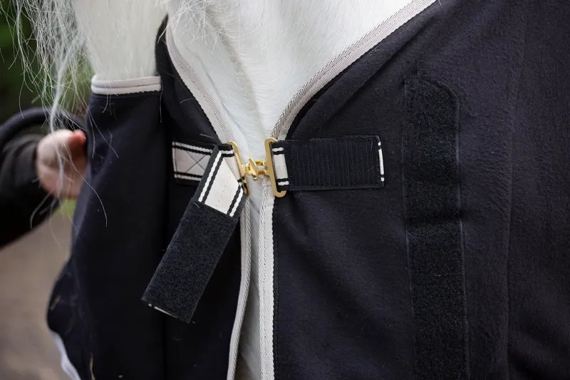 Cameo Elevate Show Rug Black-1