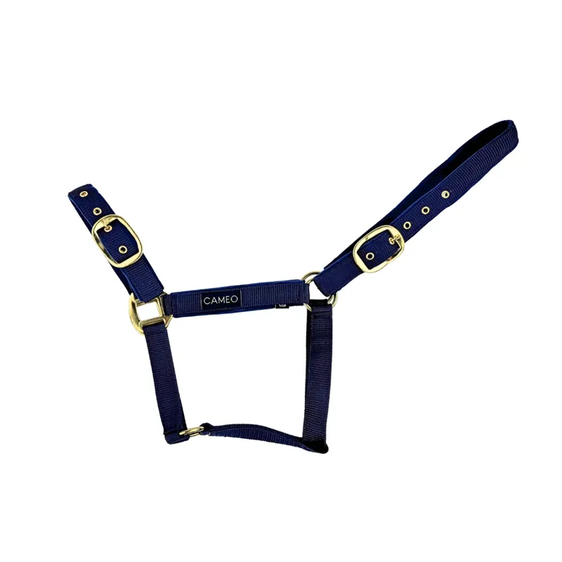 Cameo Suede Padded Headcollar Navy