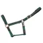 Cameo Fieldsafe Headcollar Green