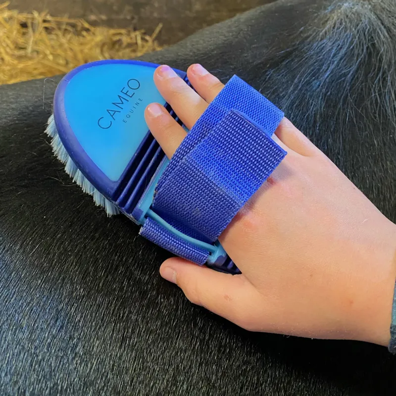 Cameo Flexi Brush Blue / Navy-1