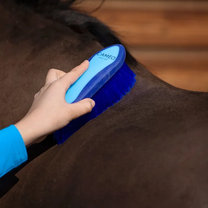 Cameo Dandy Brush Blue / Navy-1