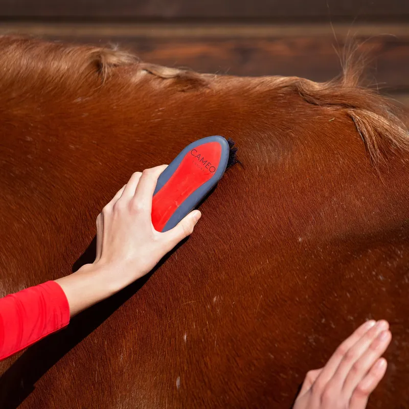 Cameo Dandy Brush Red / Navy-1