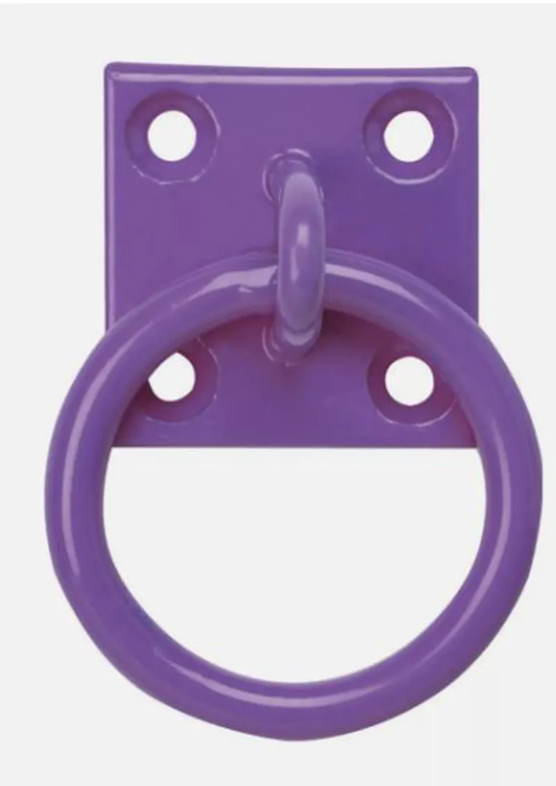 Perrys Tie Ring on Plate Purple