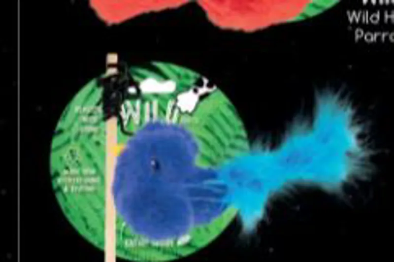 Wild Hunter Feather bird wand