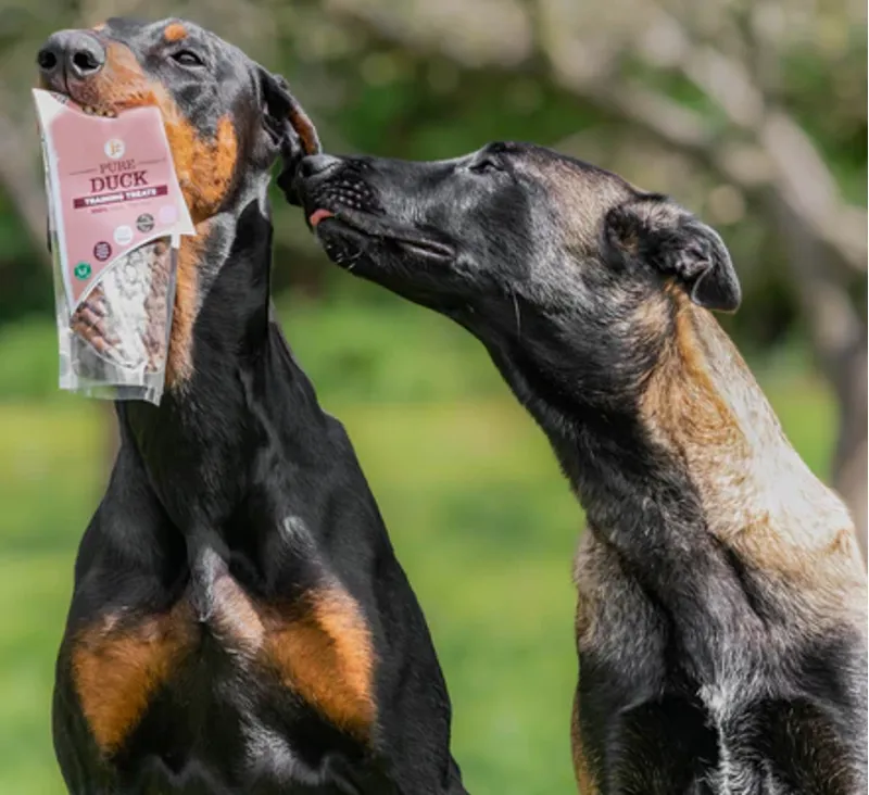 JR Pet Products Pure Duck Training Treats 85g-2