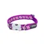 Red Dingo Dog Collar Reflective Ziggy Purple Extra Small only