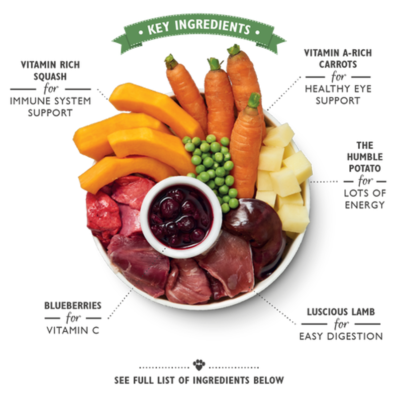 Lilys Kitchen Lamb Hotpot 150g-1