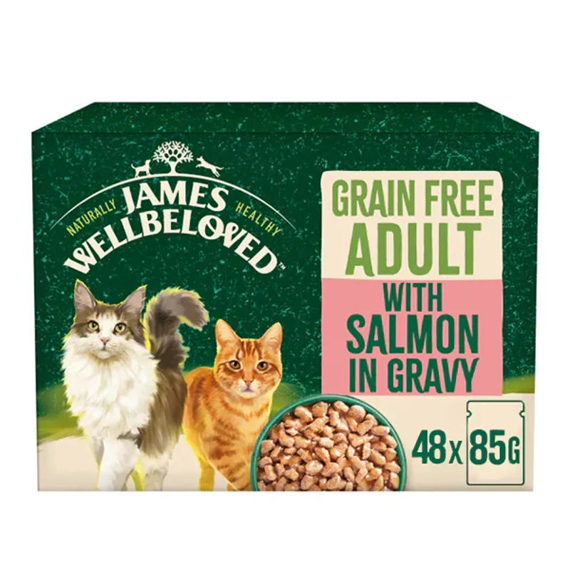 James Wellbeloved Cat Food Grain Free Adult with Salmon in Gravy Pouch 12 x 85g