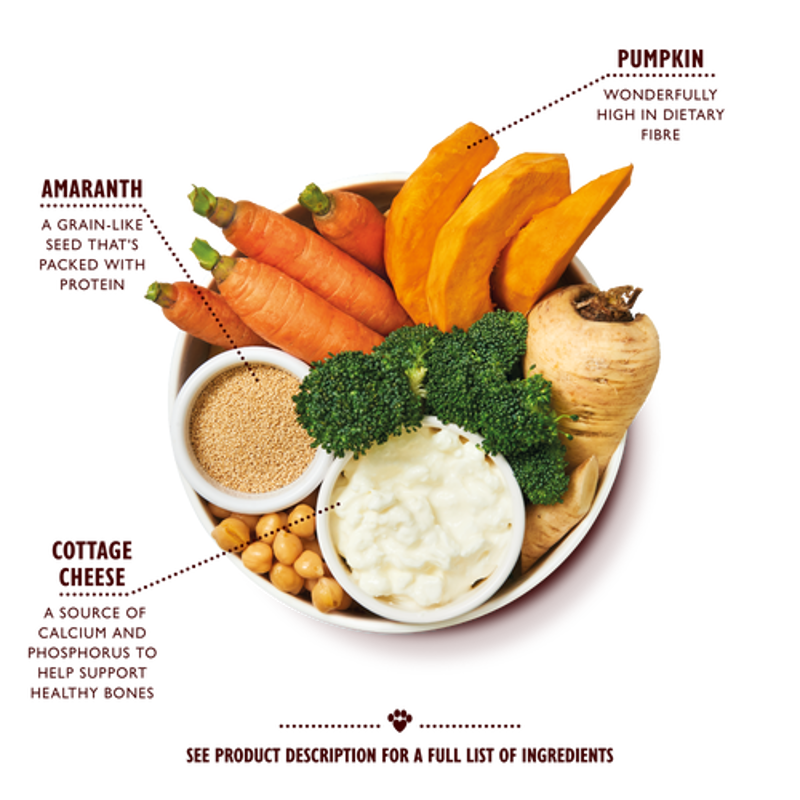 Lilys Kitchen Wholesome Veggie Feast Tin 400g-1